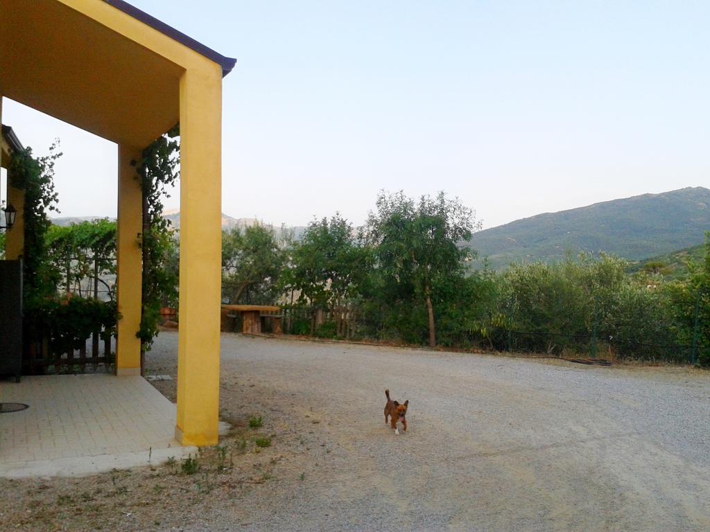 Villaggio Dei Balocchi Castelbuono  Dış mekan fotoğraf