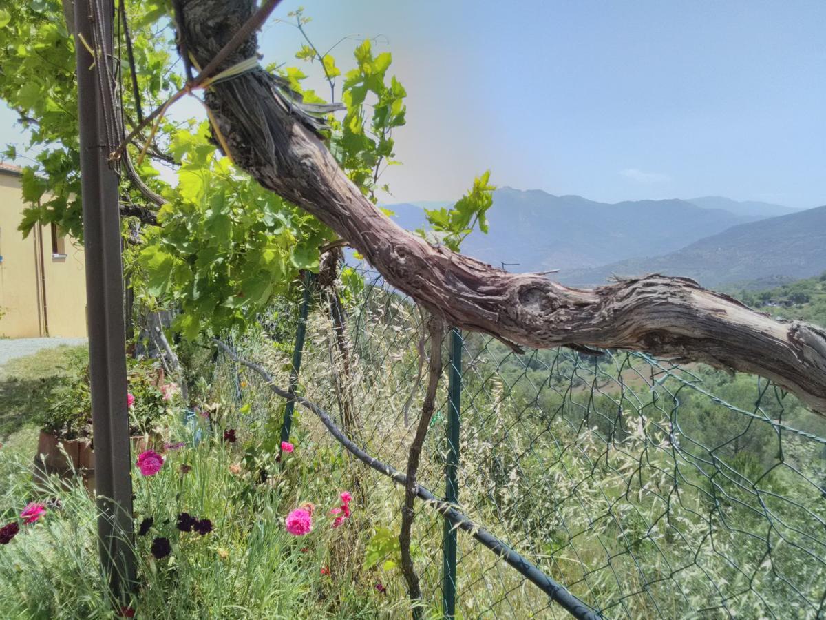 Villaggio Dei Balocchi Castelbuono  Dış mekan fotoğraf