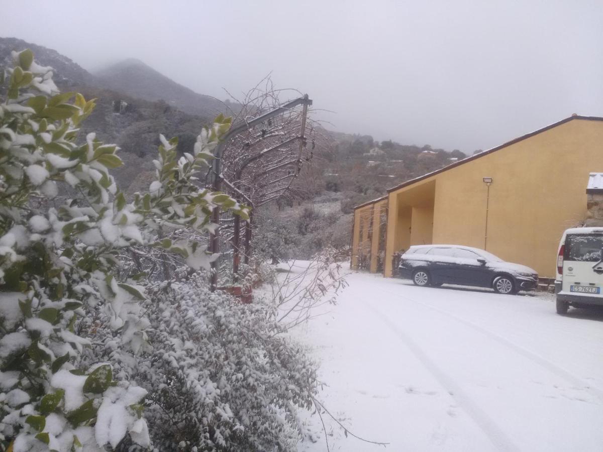 Villaggio Dei Balocchi Castelbuono  Dış mekan fotoğraf